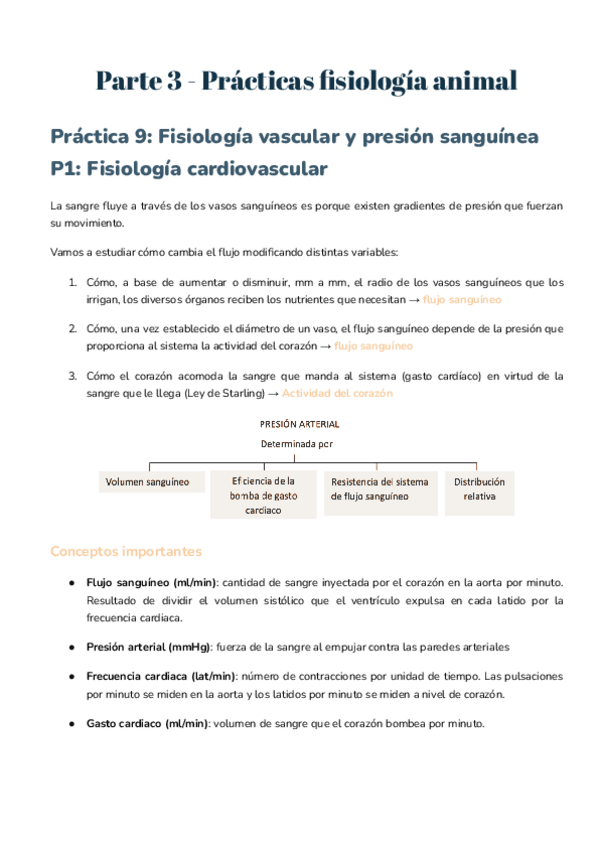 Miniatura del documento Practicas-fani-3-parte.pdf