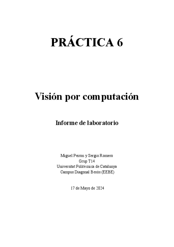 Miniatura del documento PeironRomeroP6T14.pdf