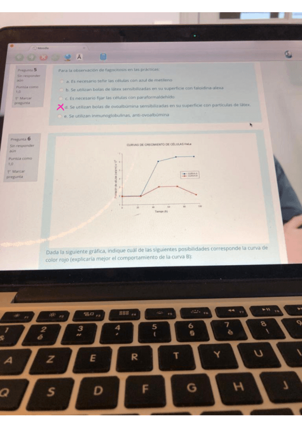 Miniatura del documento LAB-BIO.pdf