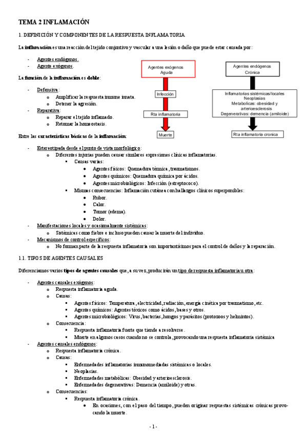 Miniatura del documento PATOLOGIA-TEMA-2-INFLAMACION.pdf
