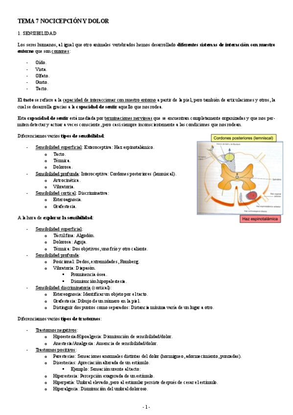 Miniatura del documento PATOLOGIA-TEMA-7-NOCICEPCION-Y-DOLOR.pdf