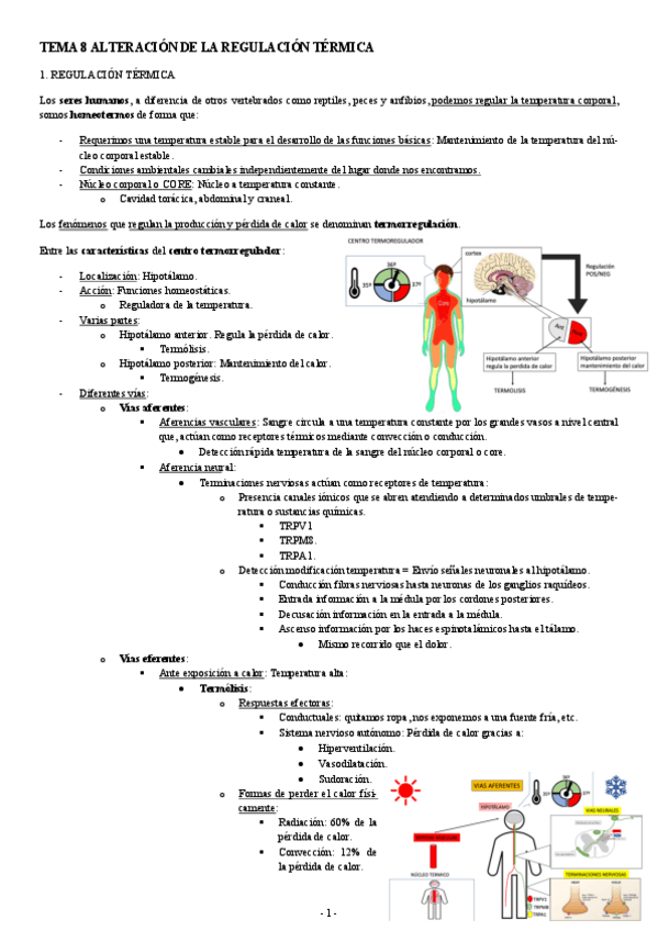 Miniatura del documento PATOLOGIA-TEMA-8-ALTERACION-DE-LA-REGULACION-TERMICA.pdf
