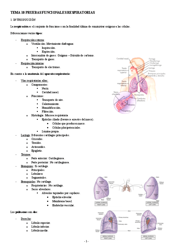Miniatura del documento PATOLOGIA-TEMA-10-PRUEBAS-FUNCIONALES-RESPIRATORIAS.pdf