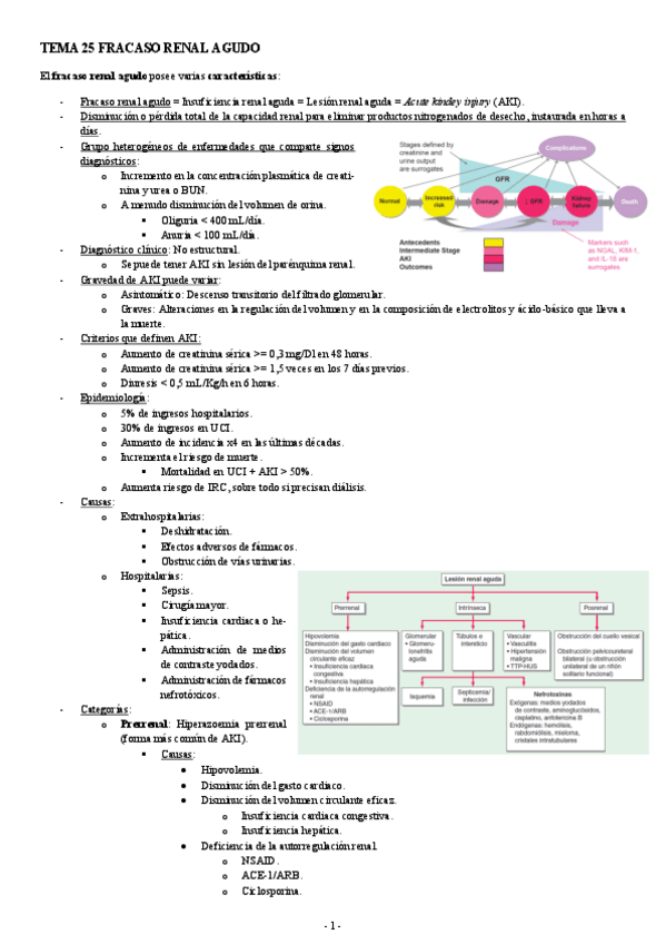 Miniatura del documento PATOLOGIA-TEMA-25-FRACASO-RENAL-AGUDO.pdf