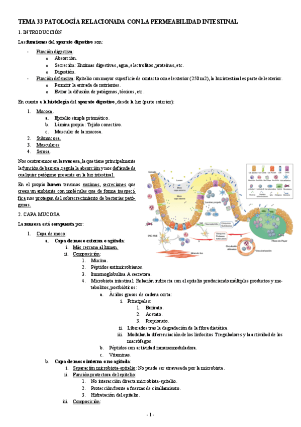 Miniatura del documento PATOLOGIA-TEMA-33-PATOLOGIA-RELACIONADA-CON-LA-PERMEABILIDAD-INTESTINAL.pdf