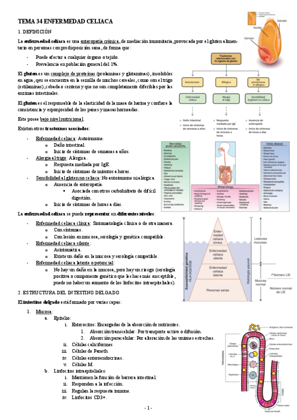 Miniatura del documento PATOLOGIA-TEMA-34-ENFERMEDAD-CELIACA.pdf