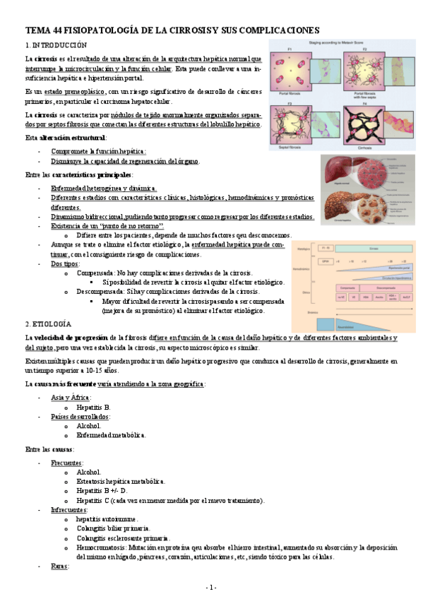 Miniatura del documento PATOLOGIA-TEMA-44-FISIOPATOLOGIA-DE-LA-CIRROSIS-Y-SUS-COMPLICACIONES.pdf