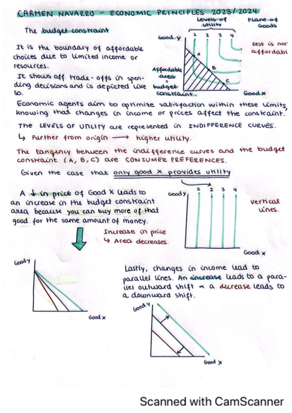 Miniatura del documento The-Budget-Constraint.pdf