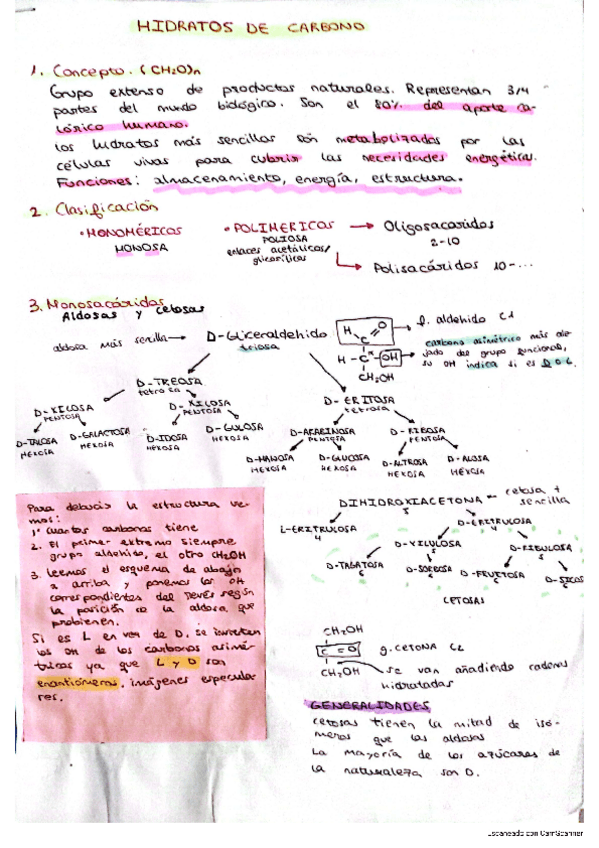 Miniatura del documento Glucidos-temario-2024.pdf