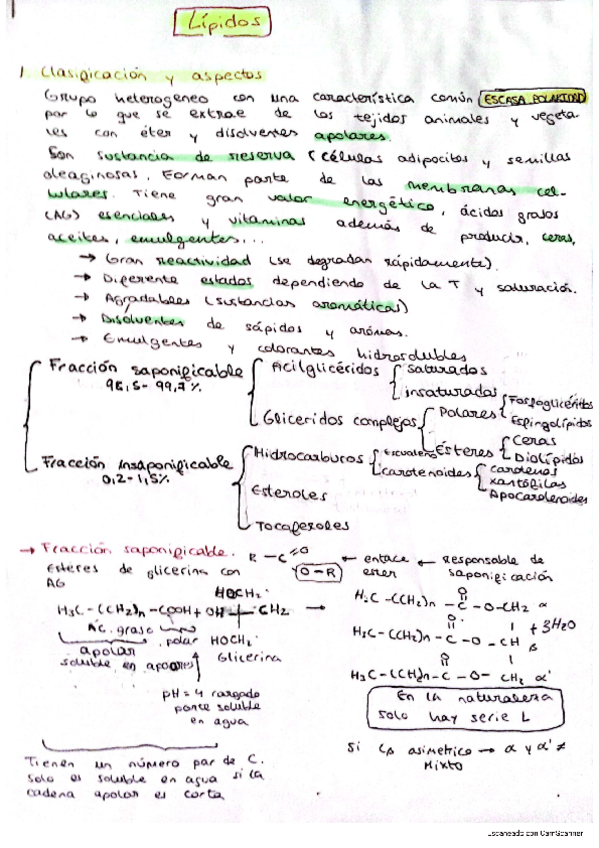 Miniatura del documento Lipidos-temario-2024.pdf