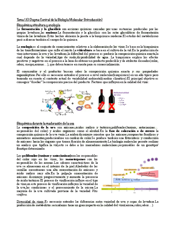 Miniatura del documento Tema-1.El-Dogma-Central-de-la-Biologia-Molecular-Introduccion.pdf