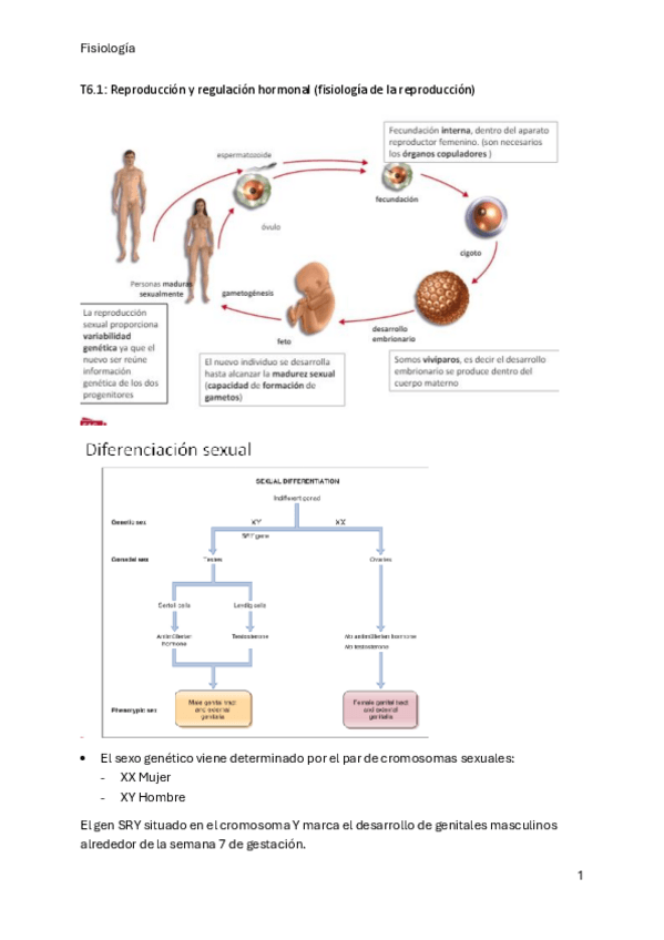 Miniatura del documento T6.1-fisiologia.pdf