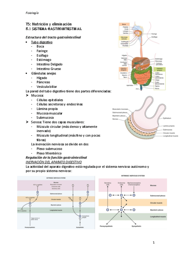 Miniatura del documento T5-fisiologia.pdf