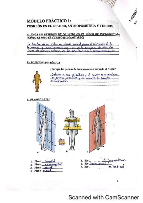 Miniatura del documento Cuaderno-Anatomia-nota-9.pdf