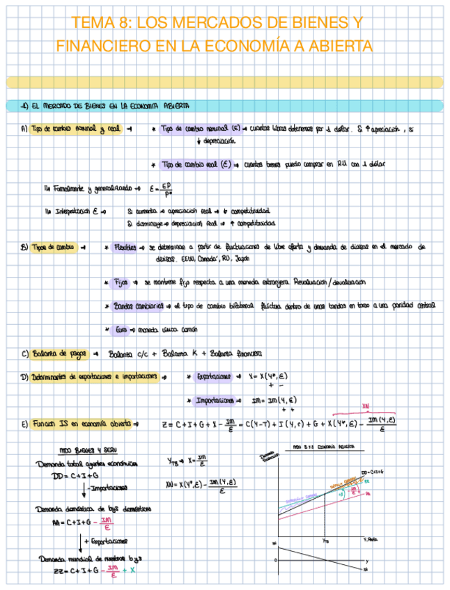 Miniatura del documento Apuntes-Tema-8-y-Tema-9.pdf