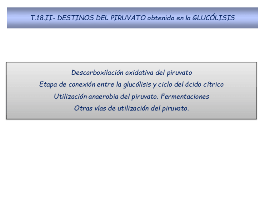 Miniatura del documento Tema-18.2-Destinos-del-piruvato-2021.pdf