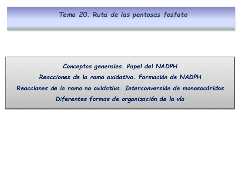 Miniatura del documento Tema-20.-PPP-2021.pdf
