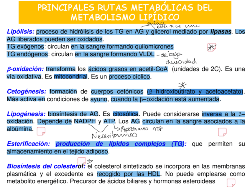 Miniatura del documento TEMA-24-OBTENCION-DE-ENERGIA-A-PARTIR-DE-LOS-LIPIDOS-2021.pdf