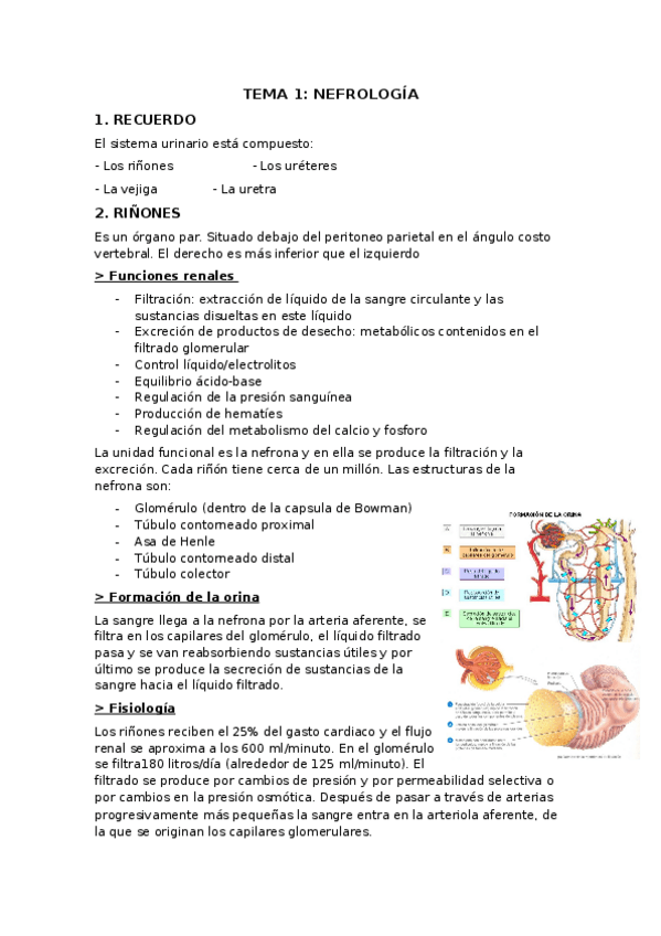 Miniatura del documento NEFROLOGIA.docx