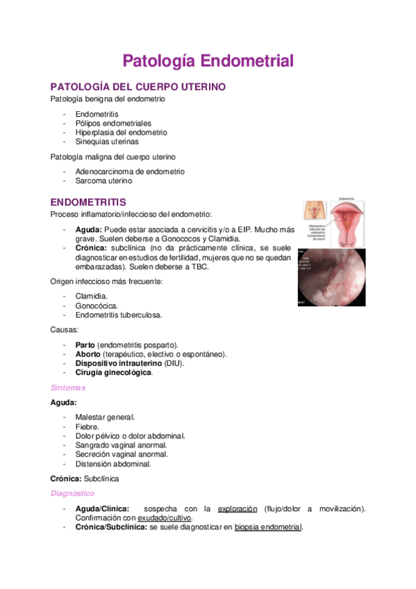 Miniatura del documento endometrio.pdf