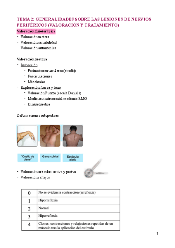 Miniatura del documento TEMA-2-Arguisuelaspdf.pdf