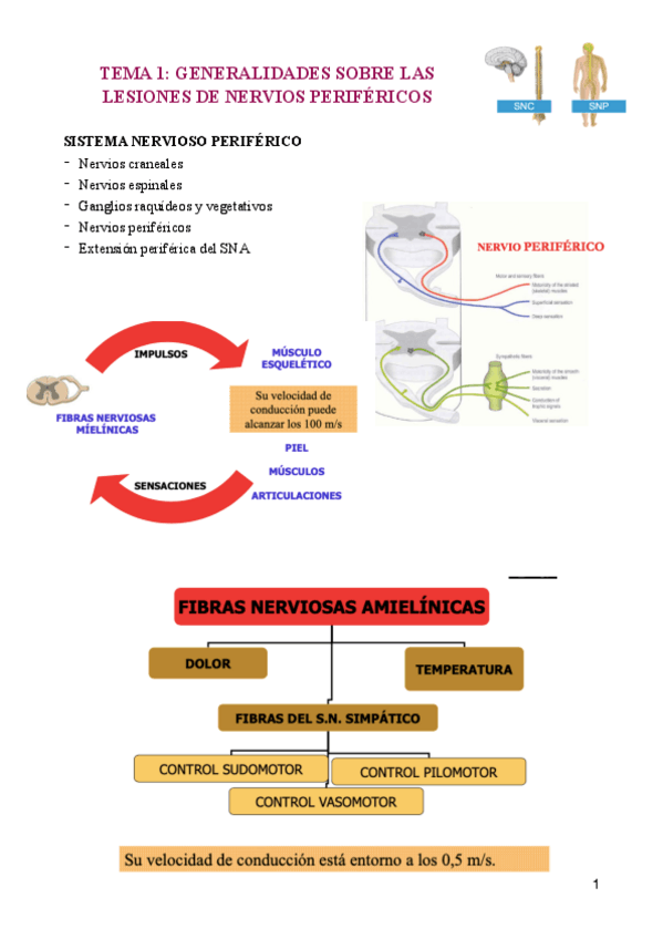 Miniatura del documento TEMA-1-Arguisuelaspdf.pdf