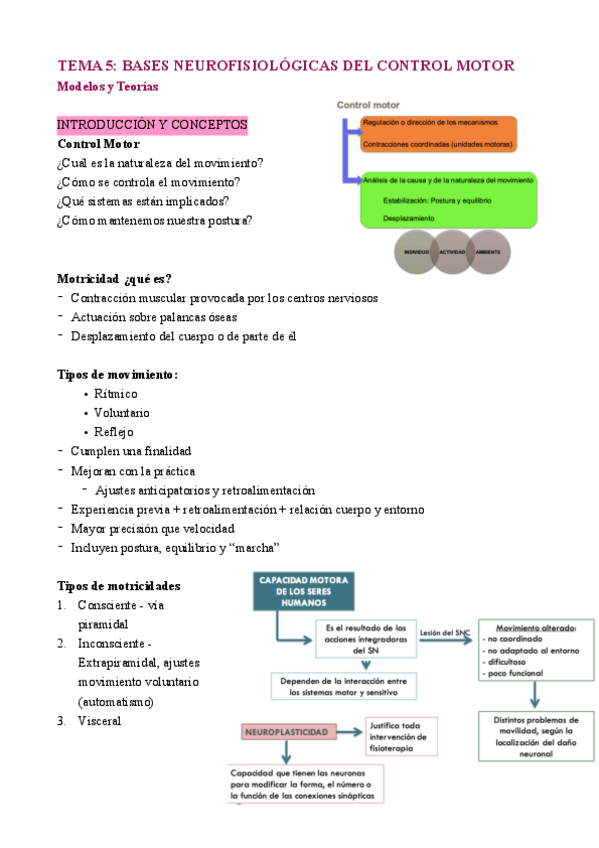 Miniatura del documento Tema-5-bases-neurofisiologicas-y-control-motorpdf.pdf