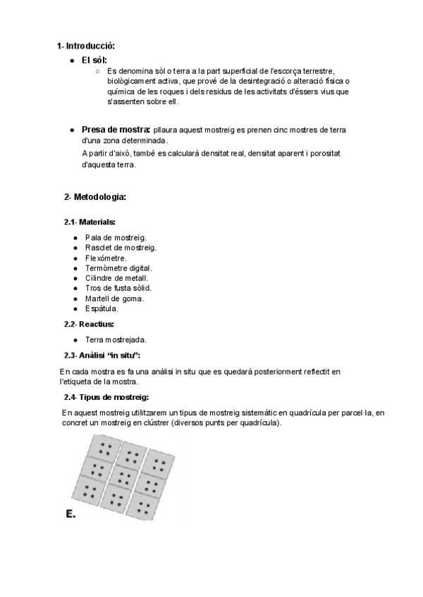 Miniatura del documento Pla-de-mostreig.pdf