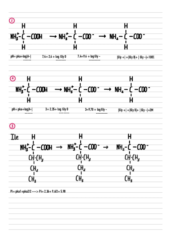 Miniatura del documento bioquimica-seminario-1-y-2.pdf