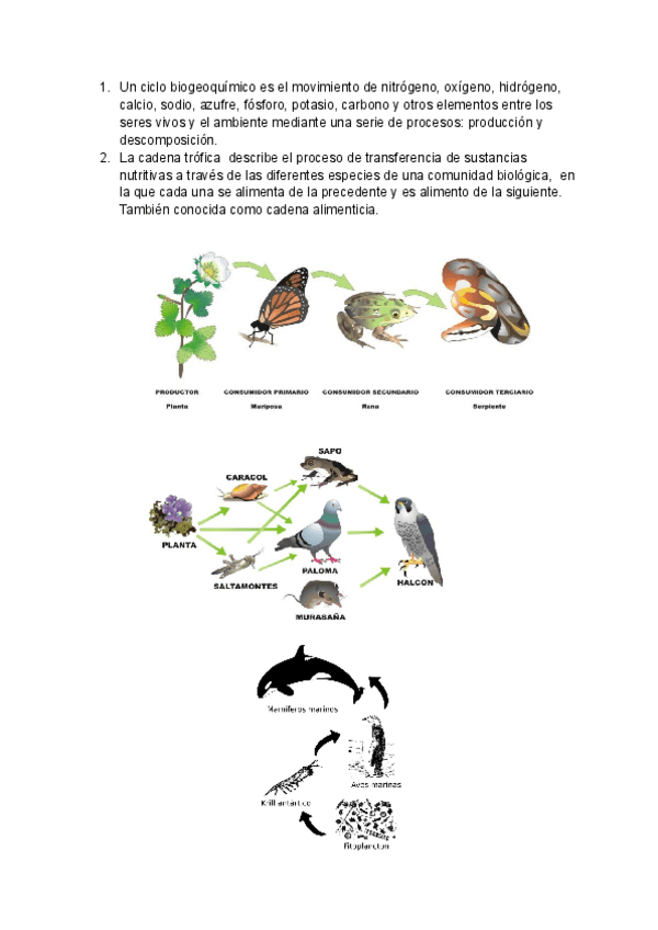 Miniatura del documento Ciclos-biogeoquimicos.pdf