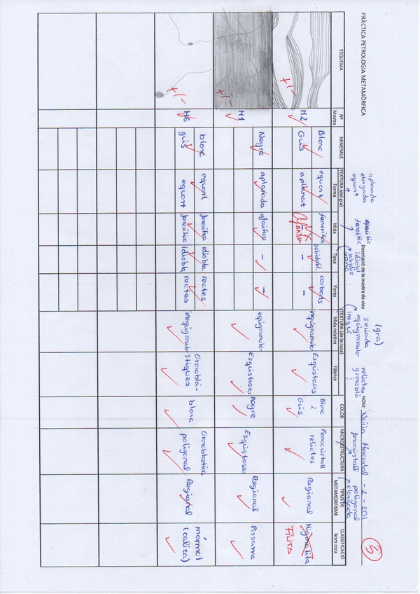 Miniatura del documento GEOBIO-PRACTICA07-Roques-Metamorfiques.pdf