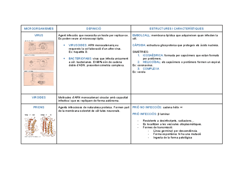 Miniatura del documento taules-virologia-conceptes-importants.pdf