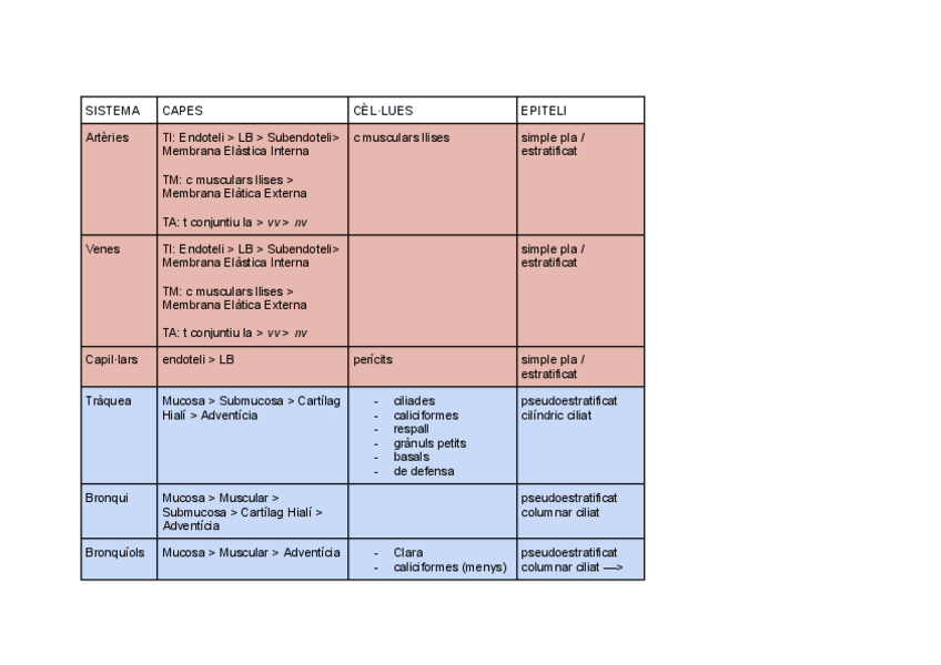 Miniatura del documento Taules-resum-organografia.pdf