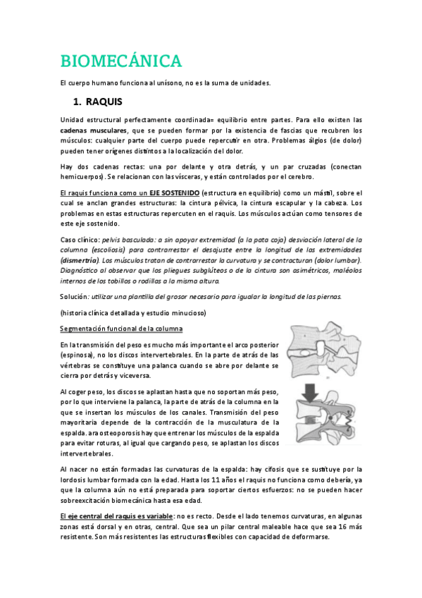 Miniatura del documento BIOMECANICA.pdf