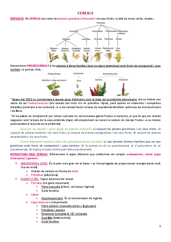 Miniatura del documento cereals-i-derivats.pdf