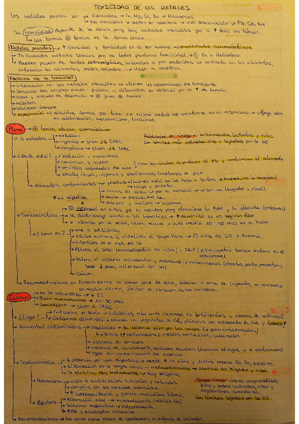 Miniatura del documento resumen-temas-31-33.pdf