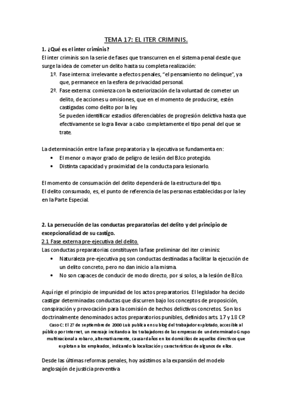 Miniatura del documento 17.-Derecho-penal.pdf