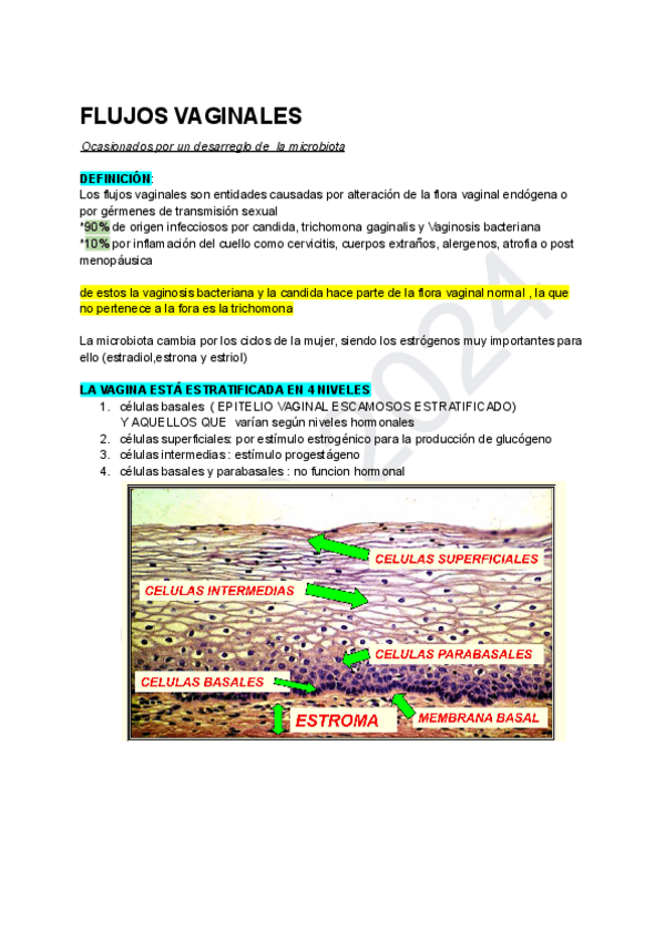 Miniatura del documento VAGINOSIS-BACTERIANA-Y-VAGINITIS.pdf