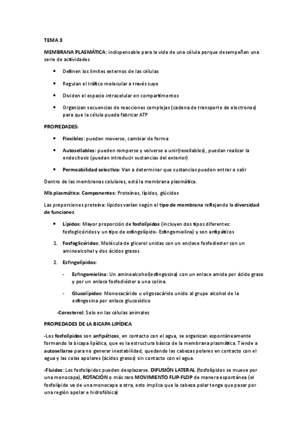 Miniatura del documento Tema-3.pdf