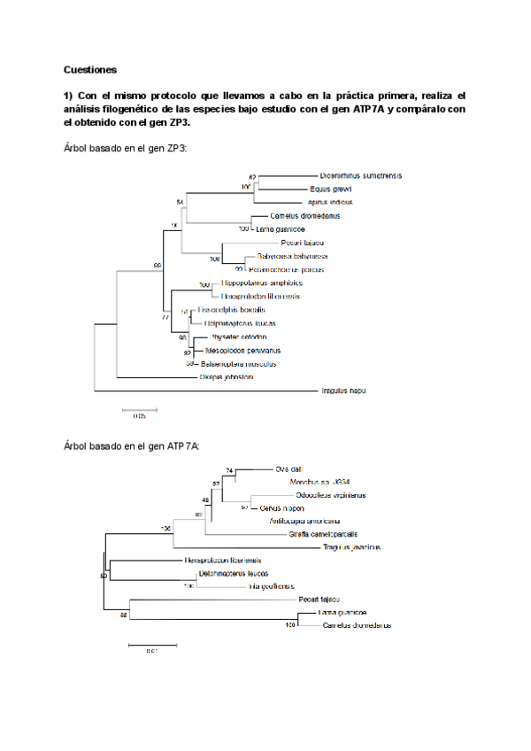 Miniatura del documento EJERCICIO-BIOINFORMATICA.pdf