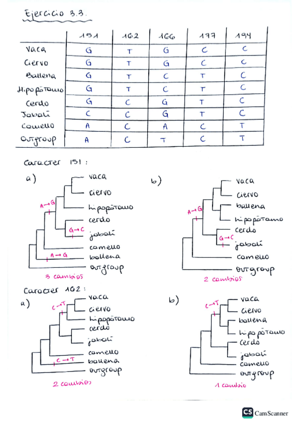 Miniatura del documento Ejercicio-3.3.pdf