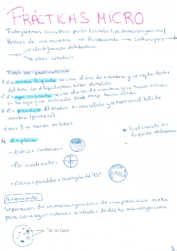 Miniatura del documento Prácticas micro.pdf