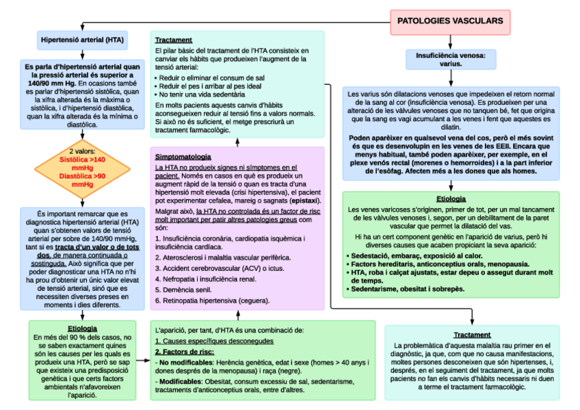 Miniatura del documento M2-PATOLOGIES-CARDIOVASCULARS.pdf