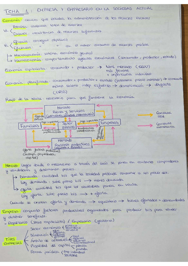 Miniatura del documento Apuntes-tema-1.pdf