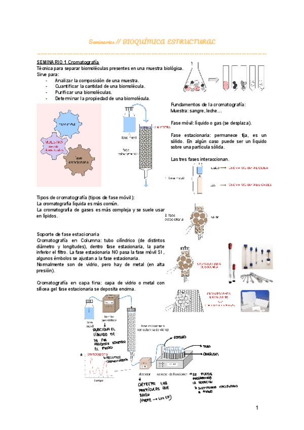 Miniatura del documento SEMINARIO--BIOQUIMICA-ESTRUCTURAL.pdf