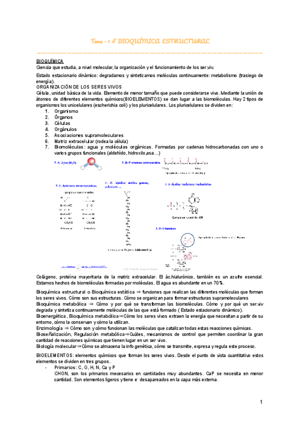 Miniatura del documento Tema-1-BIOQUIMICA-ESTRUCTURAL.pdf