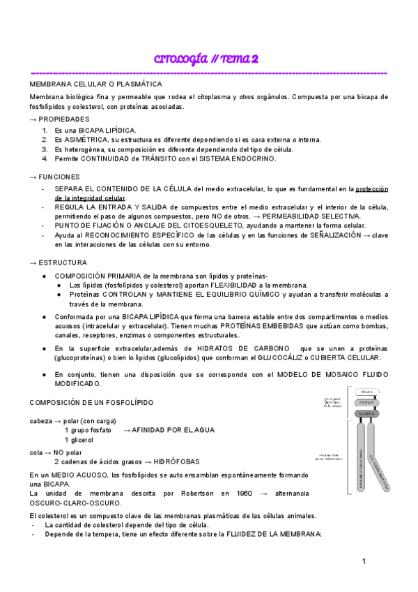 Miniatura del documento CITOLOGIA--TEMA-2.pdf