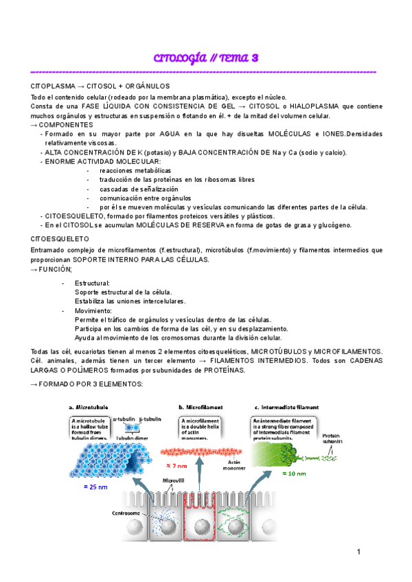 Miniatura del documento CITOLOGIA--TEMA-3.pdf