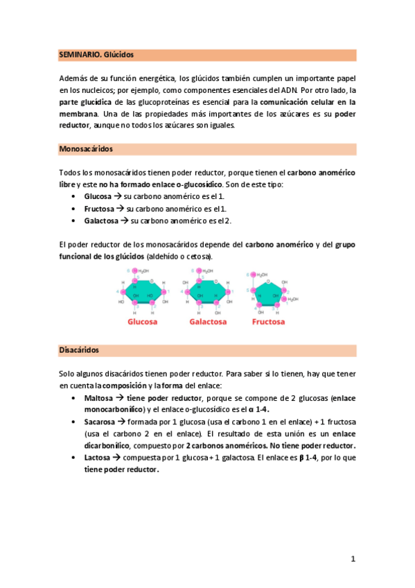 Miniatura del documento SEMINARIO.-Glucidos.pdf
