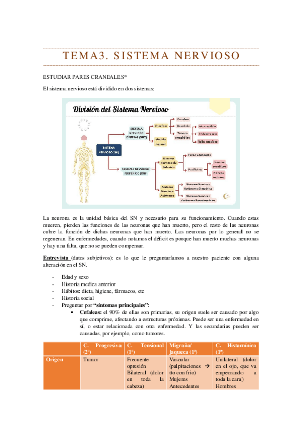 Miniatura del documento SISTEMA-NERVIOSO-TEMA-3.docx